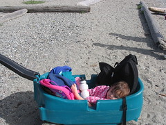 Maribeth napping in the wagon.
