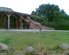 Zoo Magdeburg 2