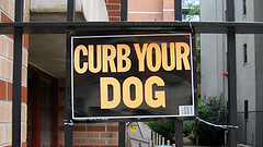 Curb Your Dog Sign -- New York City