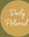 daily polaroid