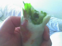 spring roll happiness!