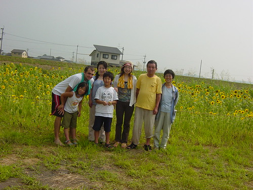 among the sunflowers