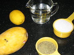 Mango Tea Sorbet Meez