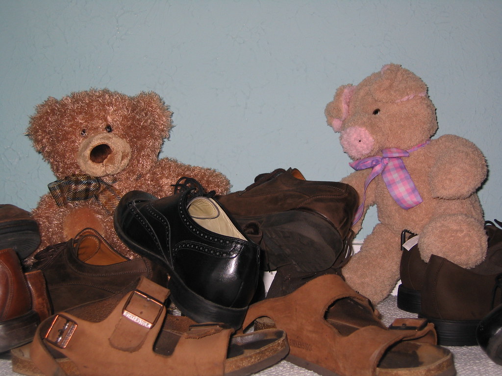 Young bears playing in shoes.