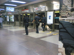 doggie in MRT!