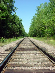 RailRoad Tracks 2317