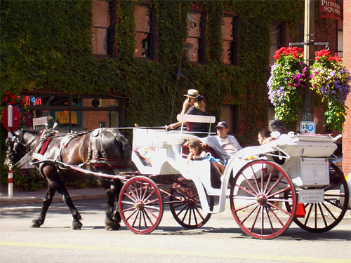 seattlecarriage