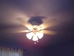 Mianna's ceiling fan