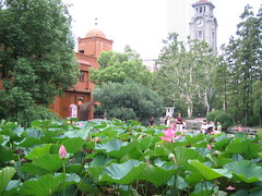 Lotus and clock tower.