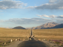Road to Leh1